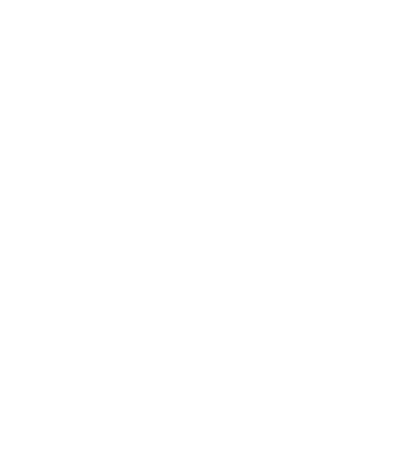 Leadership artists LLC