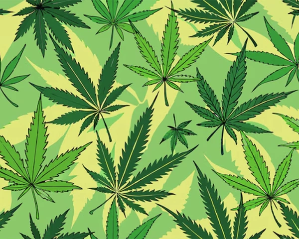 marijuana leaf