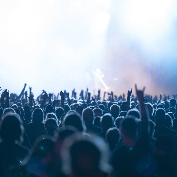 image of crowd at a Skynyrd concert